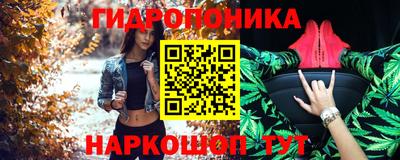 соль ск Славгород