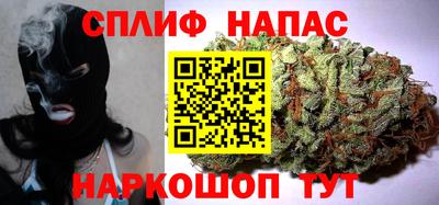 соль ск Славгород