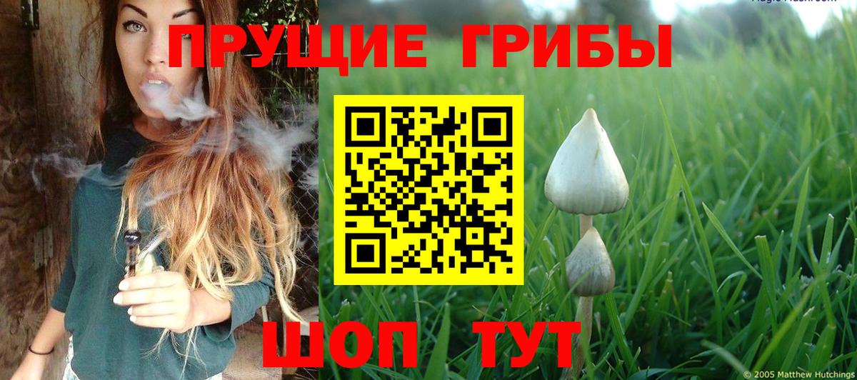 Псилоцибиновые грибы MAGIC MUSHROOMS  Вход с VPN  Обнинск 